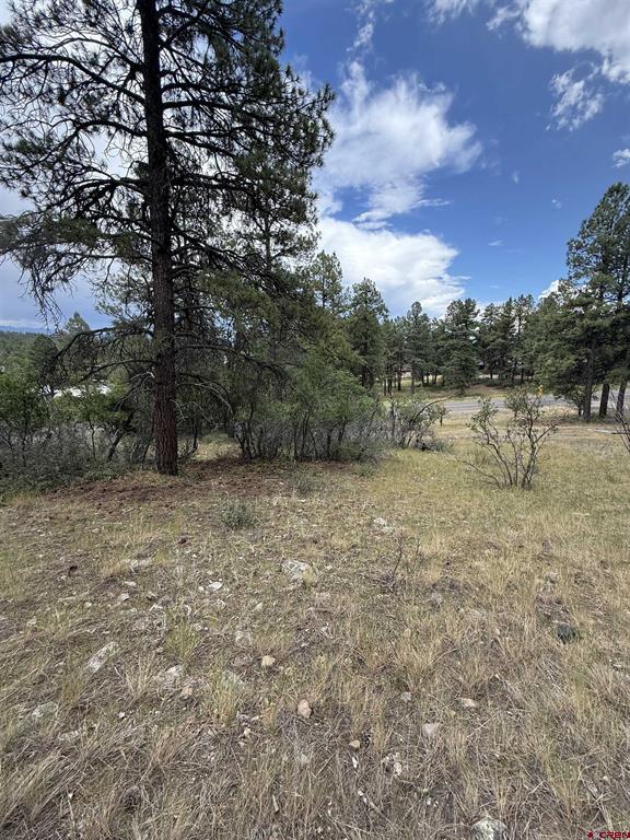 821 Aspenglow Boulevard Pagosa Springs CO 81147