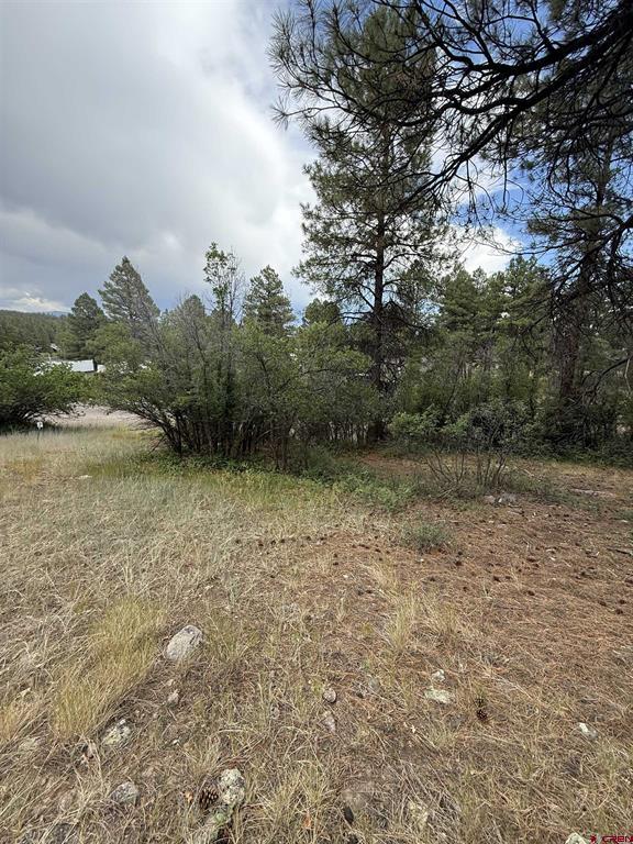 821 Aspenglow Boulevard Pagosa Springs CO 81147