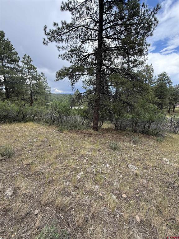 821 Aspenglow Boulevard Pagosa Springs CO 81147