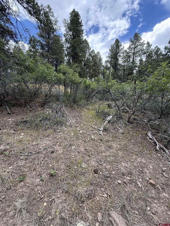 821 Aspenglow Boulevard Pagosa Springs CO 81147