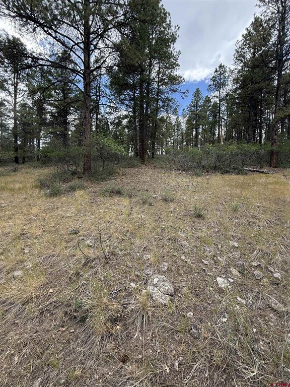 821 Aspenglow Boulevard Pagosa Springs CO 81147