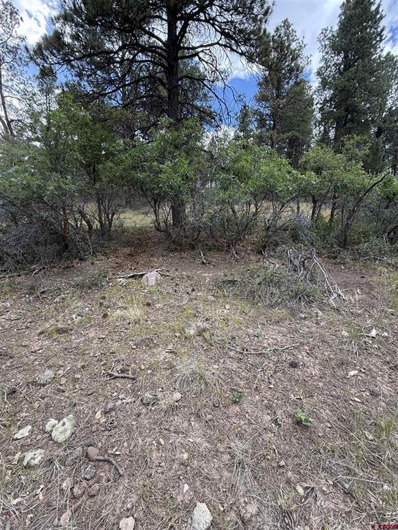 821 Aspenglow Boulevard Pagosa Springs CO 81147