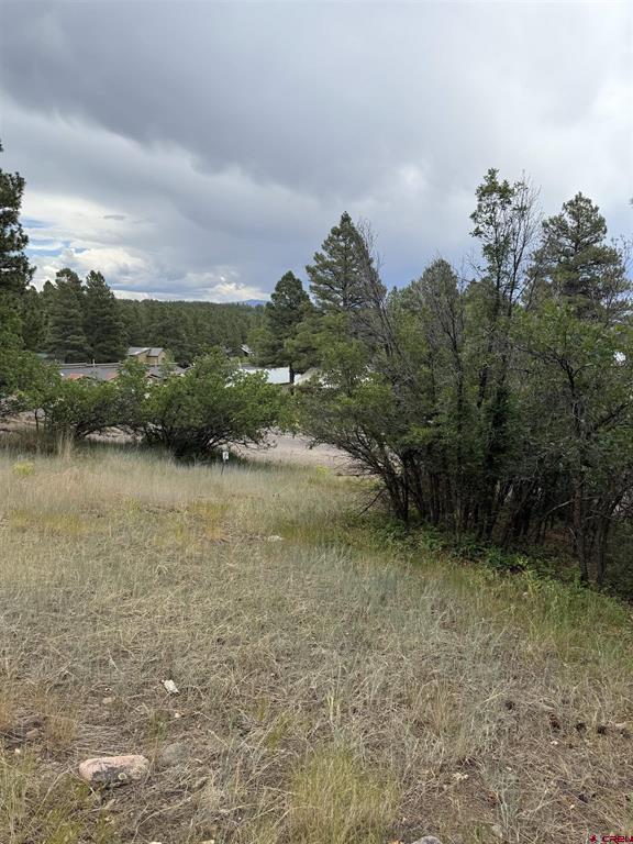 821 Aspenglow Boulevard Pagosa Springs CO 81147