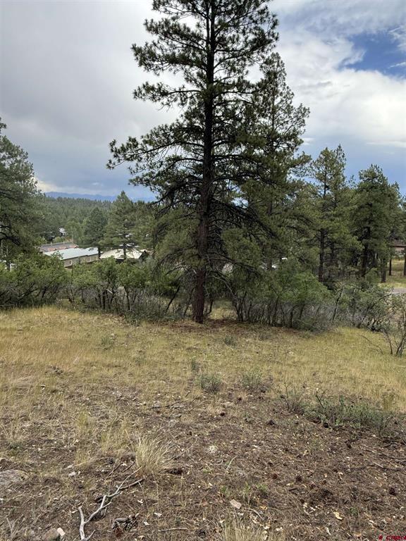 821 Aspenglow Boulevard Pagosa Springs CO 81147