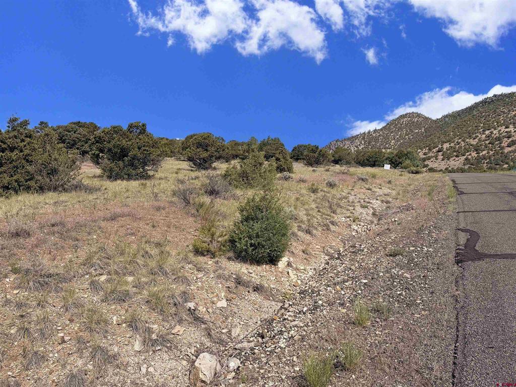 222 La Lomita Circle South Fork CO 81154