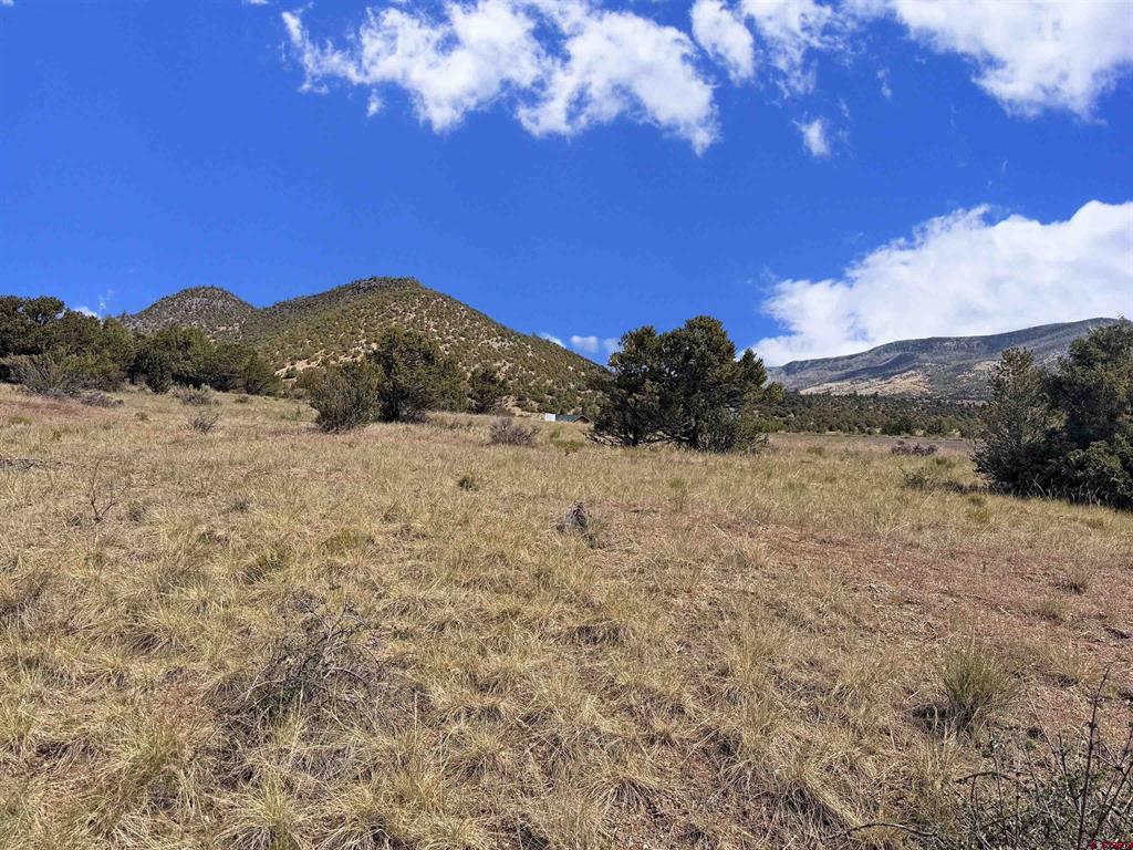 222 La Lomita Circle South Fork CO 81154