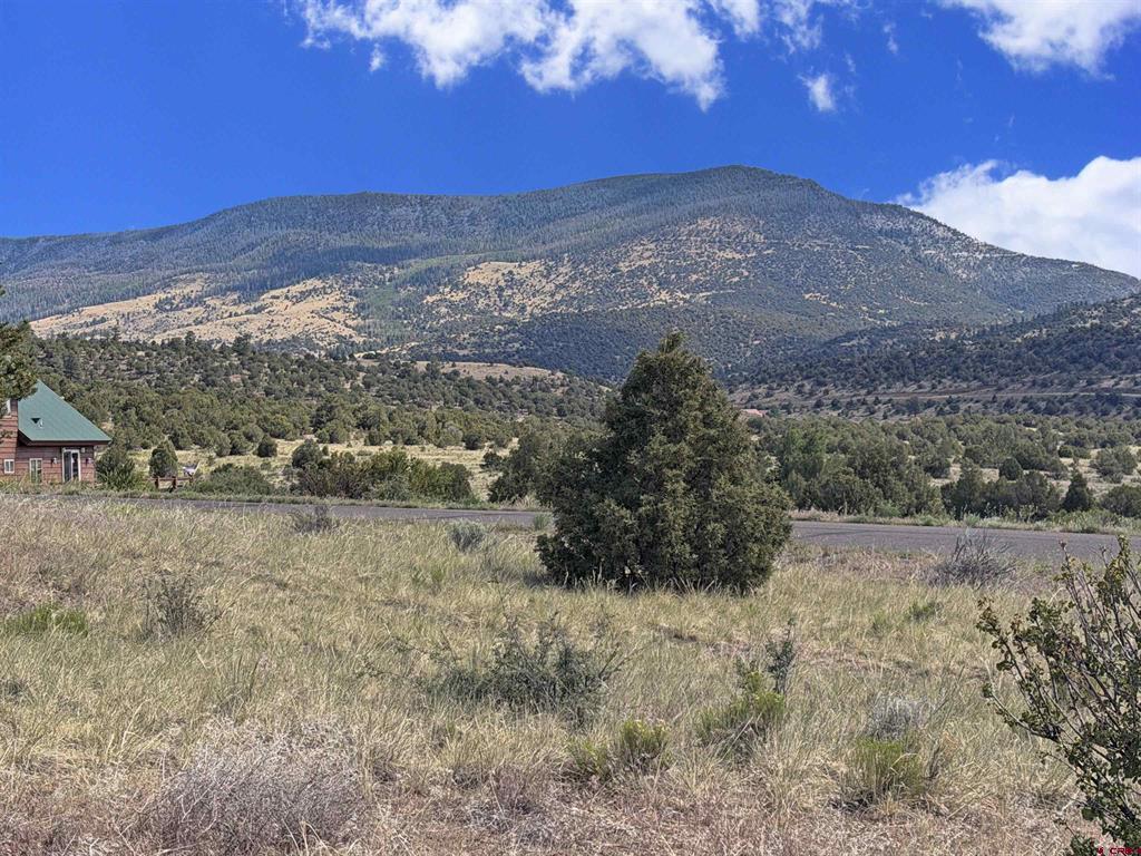 222 La Lomita Circle South Fork CO 81154