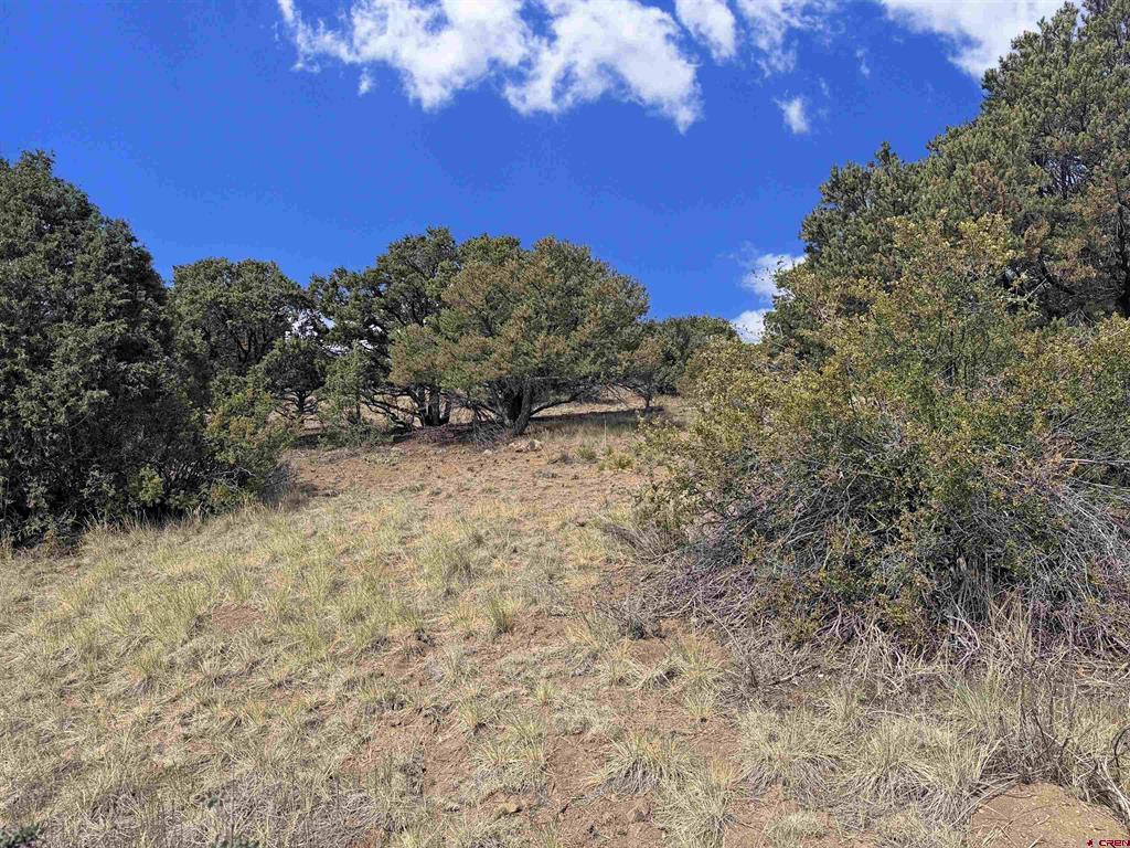 222 La Lomita Circle South Fork CO 81154