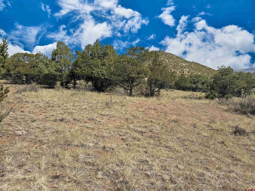 222 La Lomita Circle South Fork CO 81154