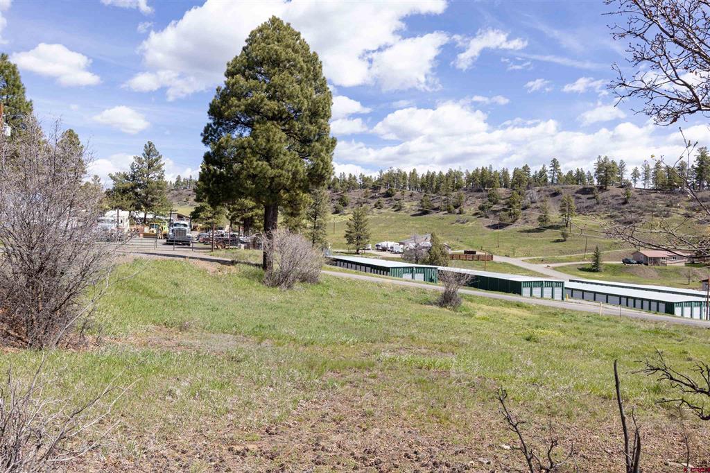 X 15th Place Pagosa Springs CO 81147