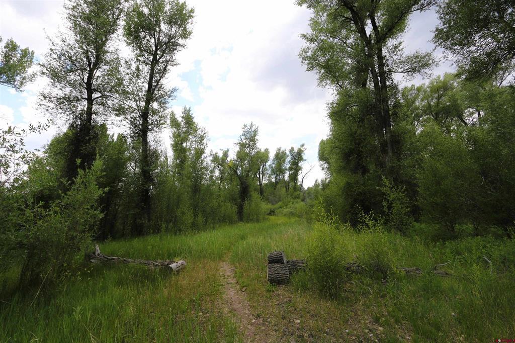 Lot 37 Kokanee Court Gunnison CO 81230