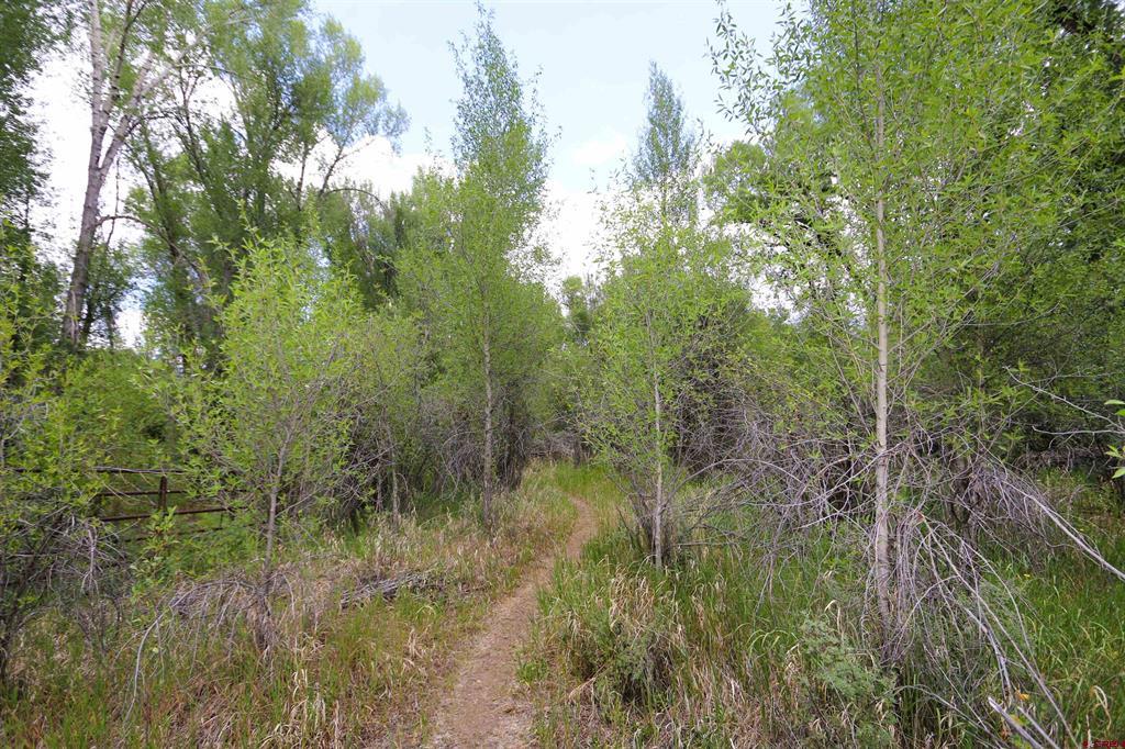 Lot 37 Kokanee Court Gunnison CO 81230