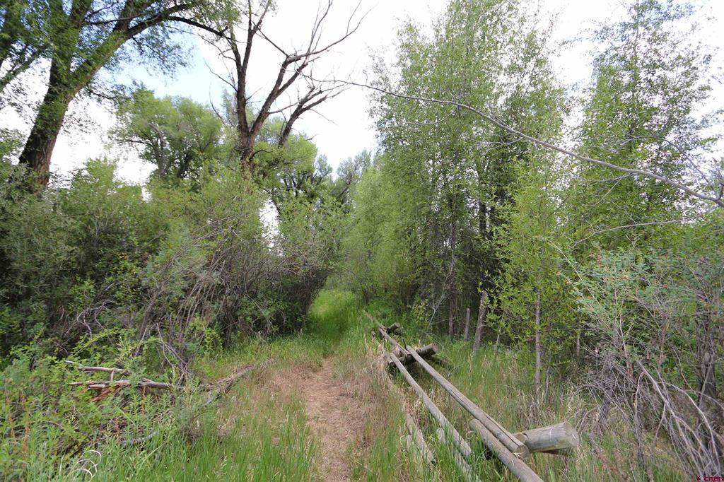 Lot 37 Kokanee Court Gunnison CO 81230