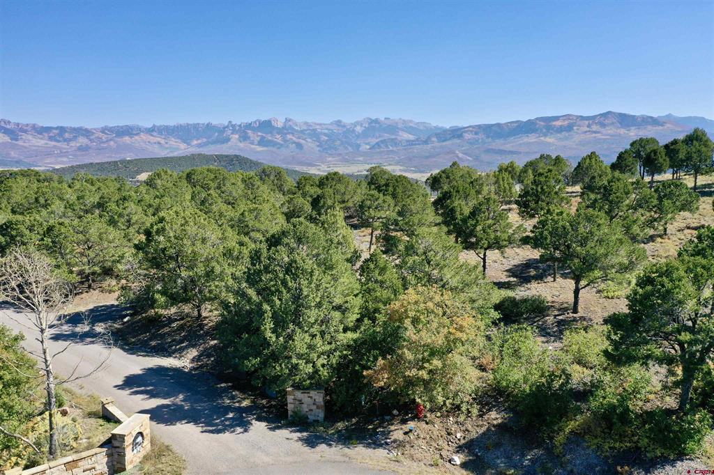 171 San Sophia Lane Ridgway CO 81432