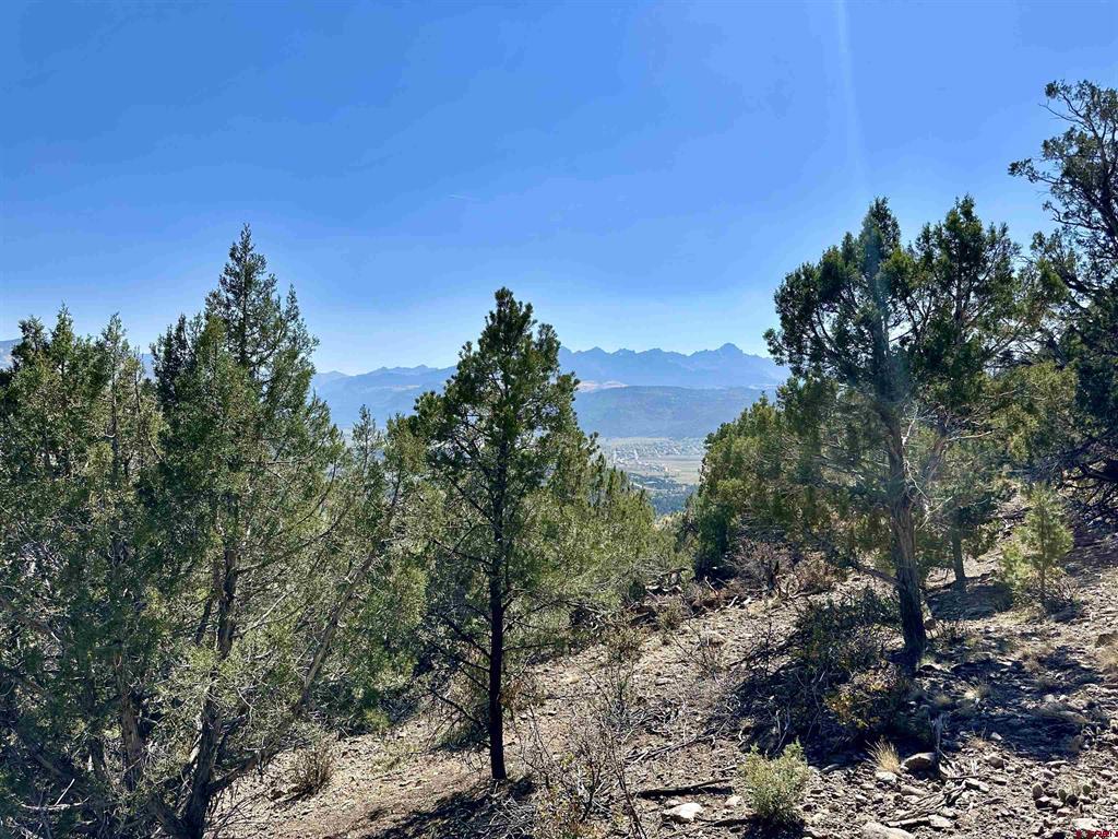 171 San Sophia Lane Ridgway CO 81432