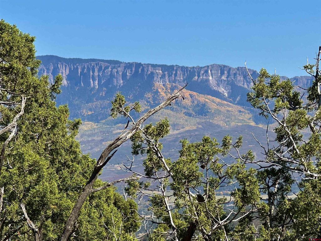 171 San Sophia Lane Ridgway CO 81432