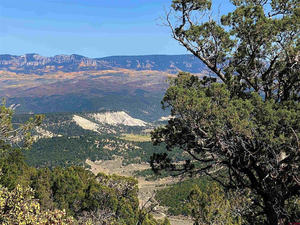 171 San Sophia Lane Ridgway CO 81432