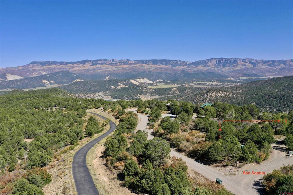 171 San Sophia Lane Ridgway CO 81432