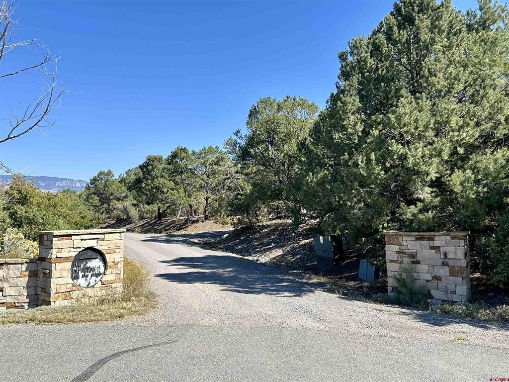171 San Sophia Lane Ridgway CO 81432
