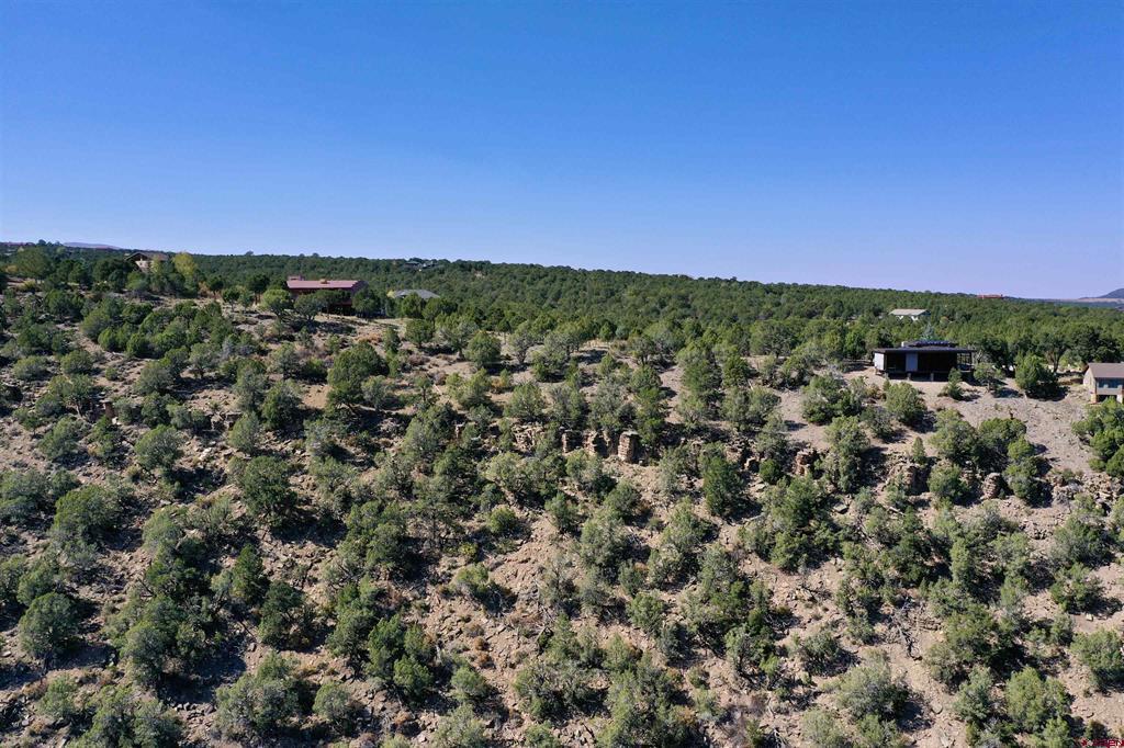 171 San Sophia Lane Ridgway CO 81432
