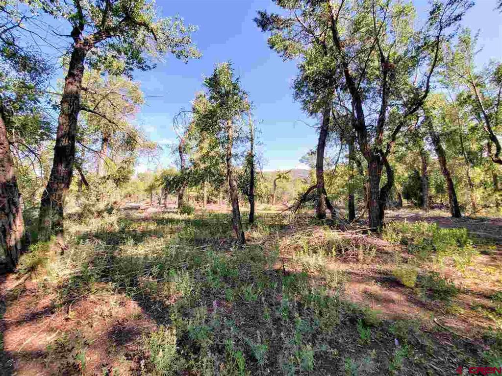 27000 Us Highway 160 South Fork CO 81154