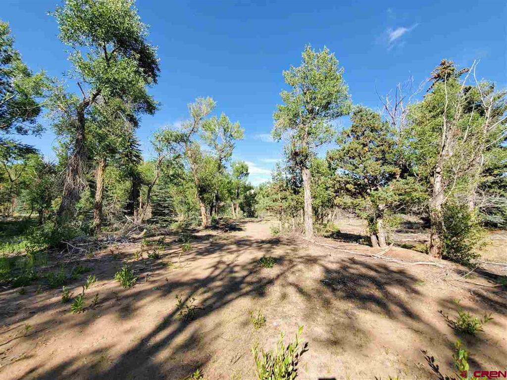 27000 Us Highway 160 South Fork CO 81154