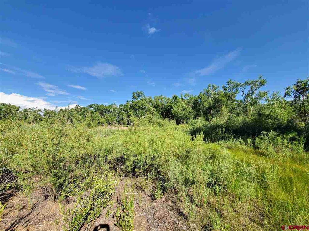 27000 Us Highway 160 South Fork CO 81154
