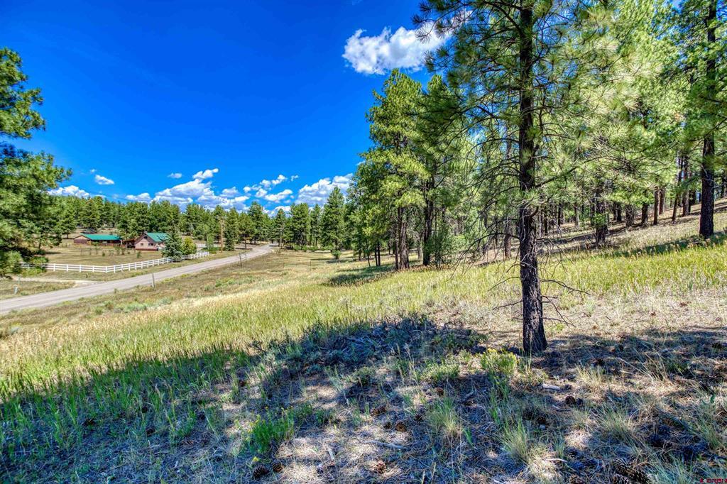 233 Stagecoach Lane Pagosa Springs CO 81147