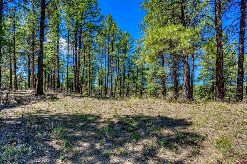 233 Stagecoach Lane Pagosa Springs CO 81147