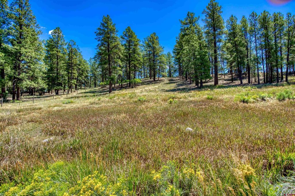 233 Stagecoach Lane Pagosa Springs CO 81147