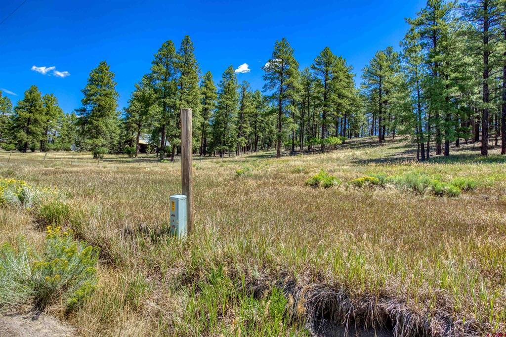 233 Stagecoach Lane Pagosa Springs CO 81147