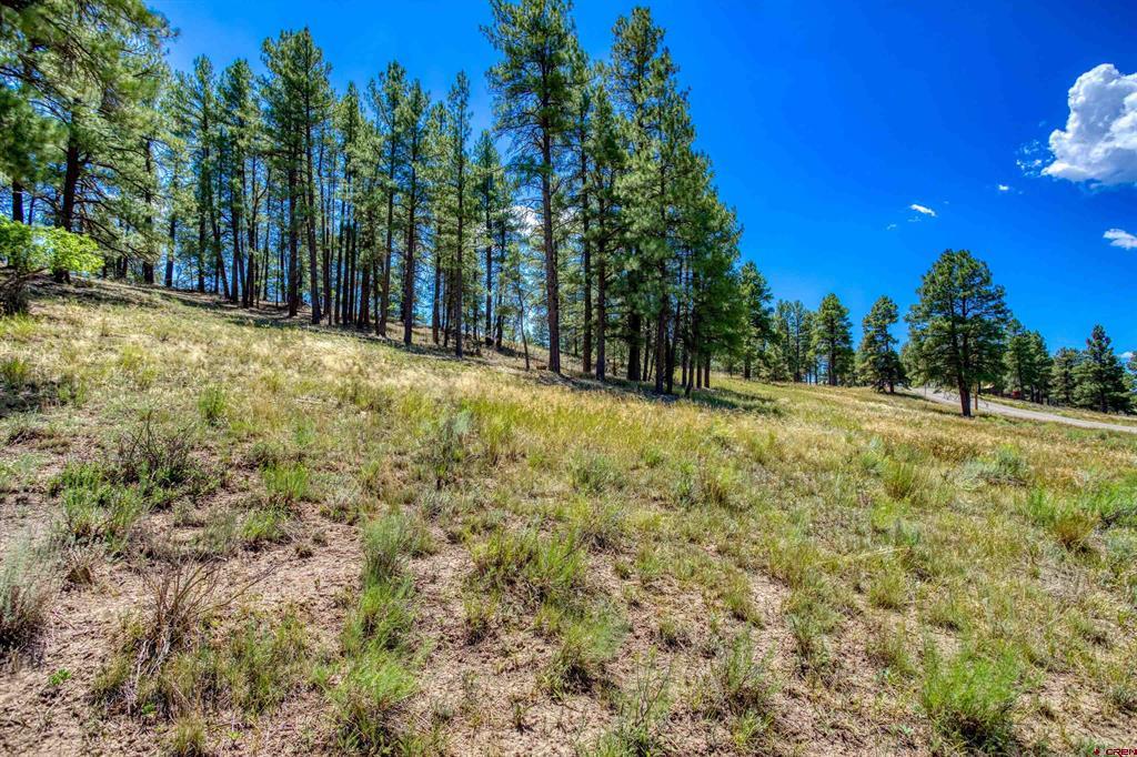 233 Stagecoach Lane Pagosa Springs CO 81147