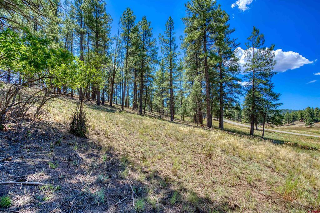 233 Stagecoach Lane Pagosa Springs CO 81147