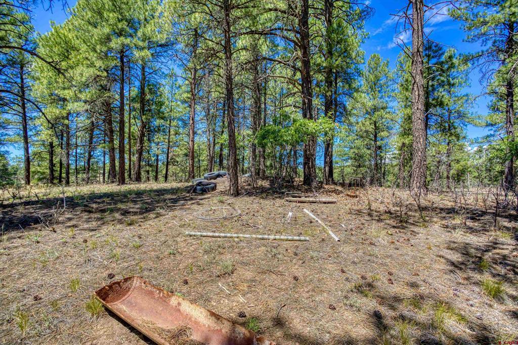 233 Stagecoach Lane Pagosa Springs CO 81147