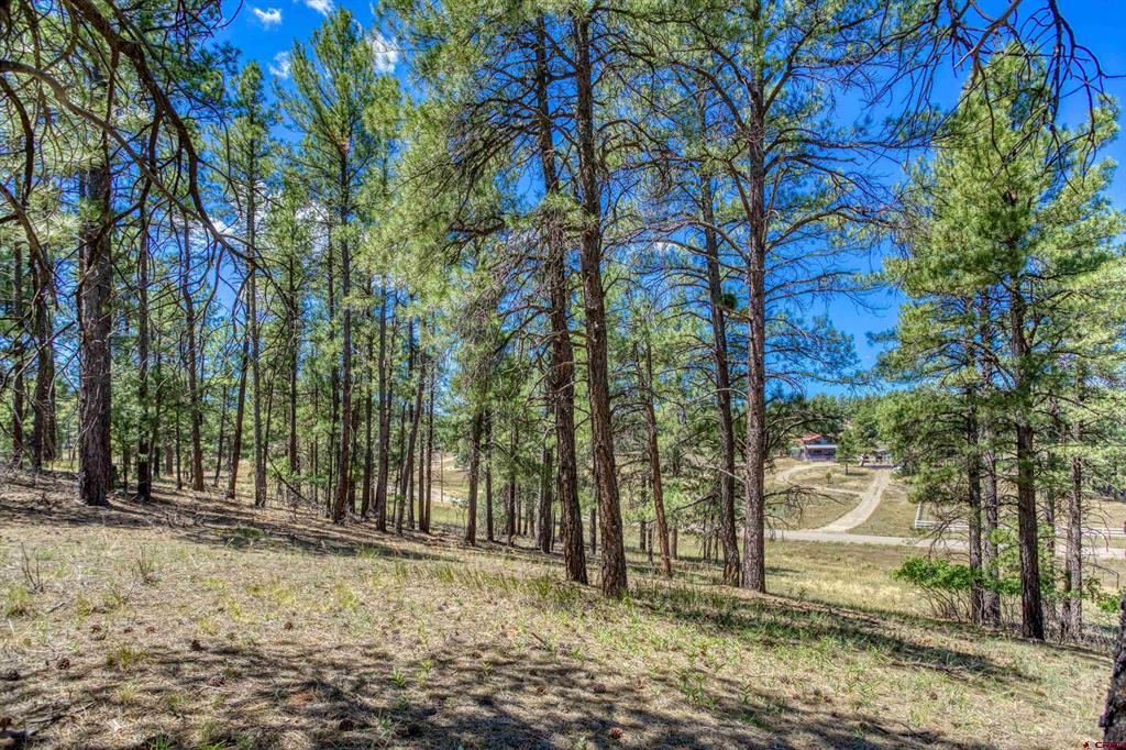 233 Stagecoach Lane Pagosa Springs CO 81147