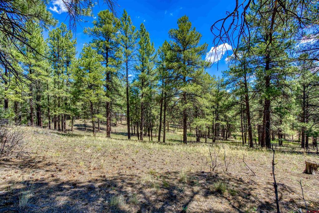 233 Stagecoach Lane Pagosa Springs CO 81147
