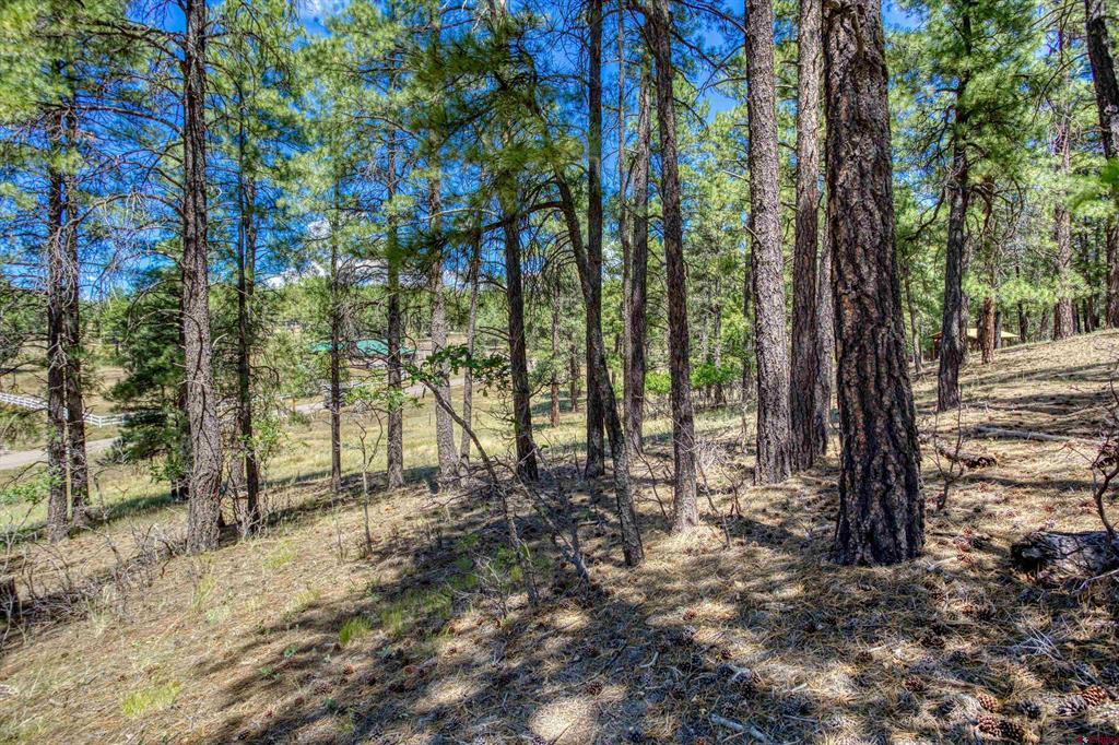 233 Stagecoach Lane Pagosa Springs CO 81147