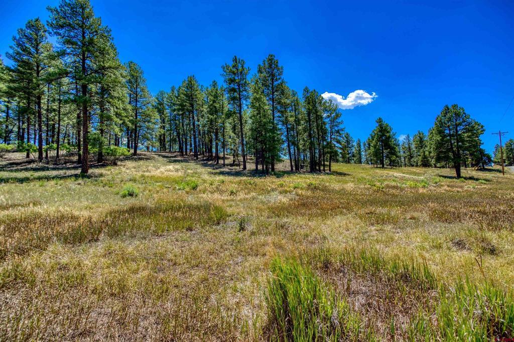 233 Stagecoach Lane Pagosa Springs CO 81147