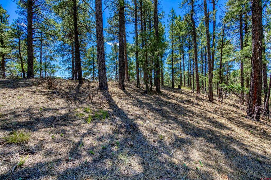 233 Stagecoach Lane Pagosa Springs CO 81147