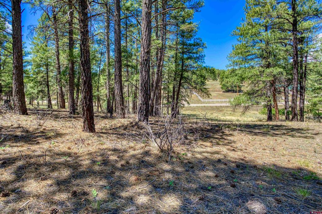 233 Stagecoach Lane Pagosa Springs CO 81147