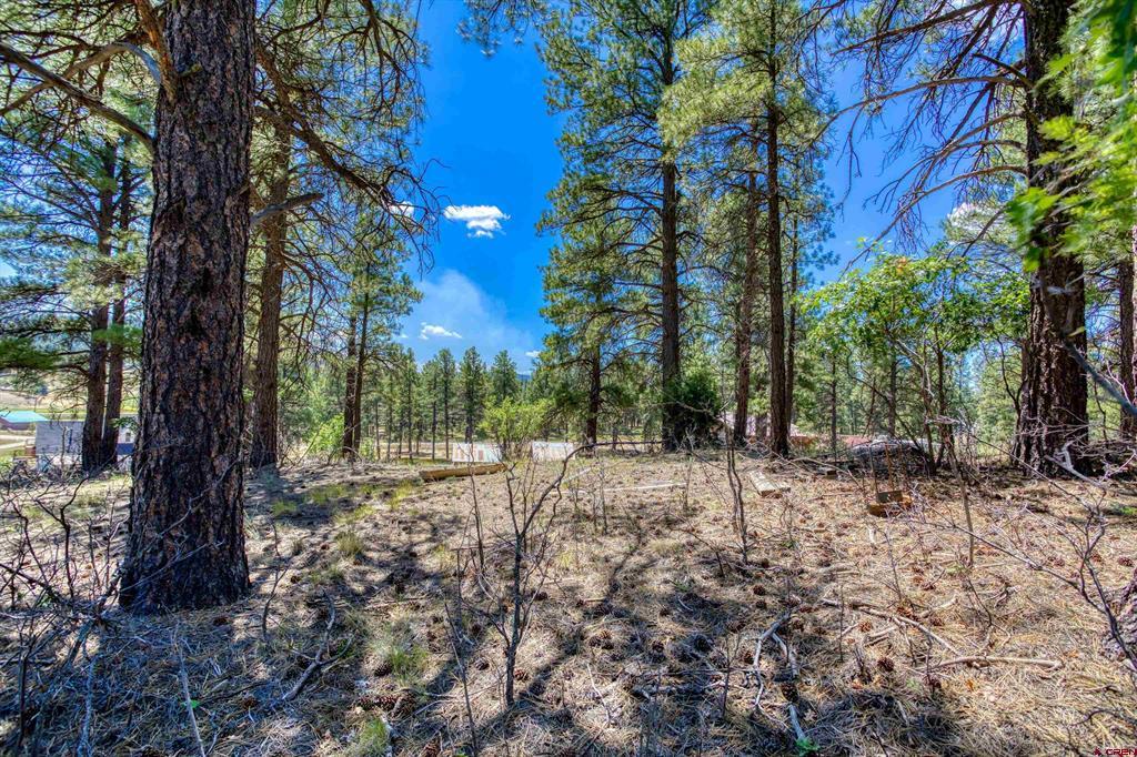 233 Stagecoach Lane Pagosa Springs CO 81147