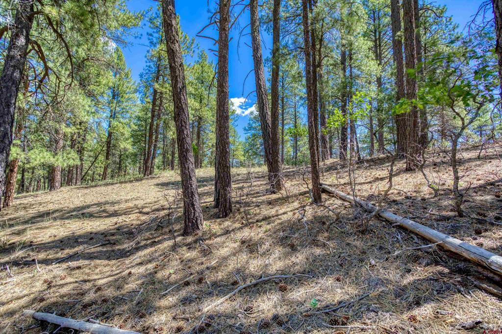 233 Stagecoach Lane Pagosa Springs CO 81147