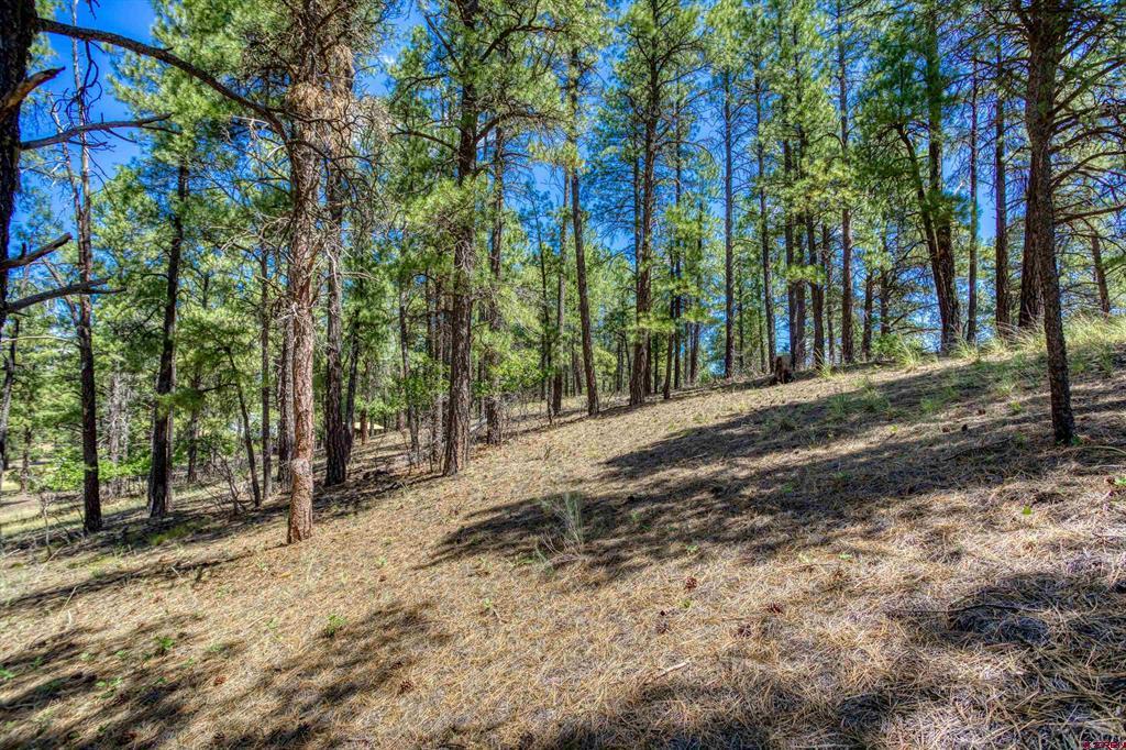 233 Stagecoach Lane Pagosa Springs CO 81147