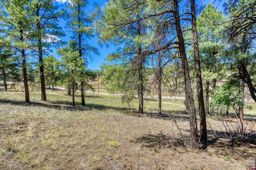 233 Stagecoach Lane Pagosa Springs CO 81147