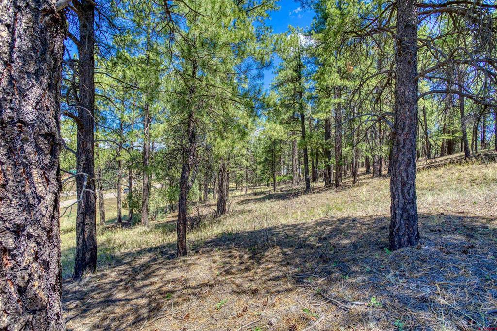 233 Stagecoach Lane Pagosa Springs CO 81147