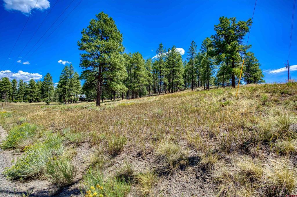 233 Stagecoach Lane Pagosa Springs CO 81147