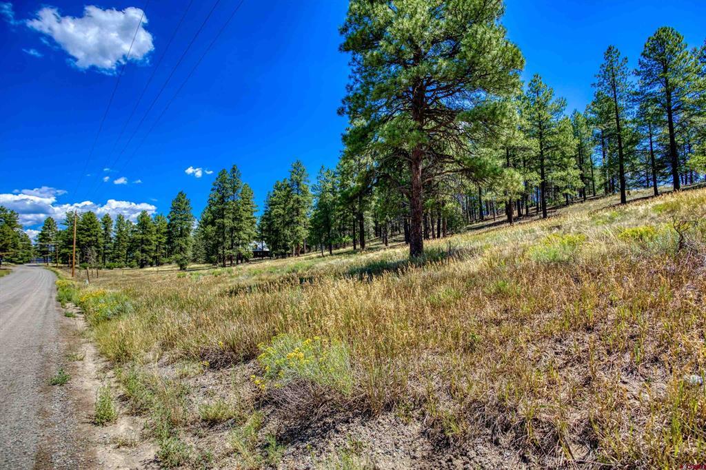 233 Stagecoach Lane Pagosa Springs CO 81147