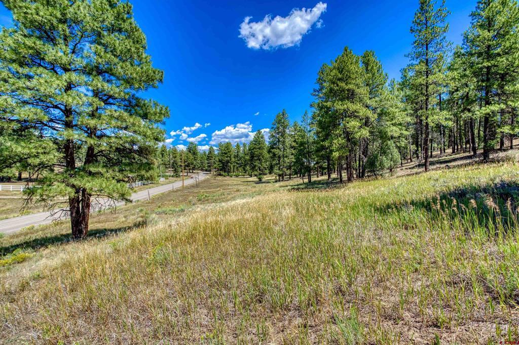 233 Stagecoach Lane Pagosa Springs CO 81147