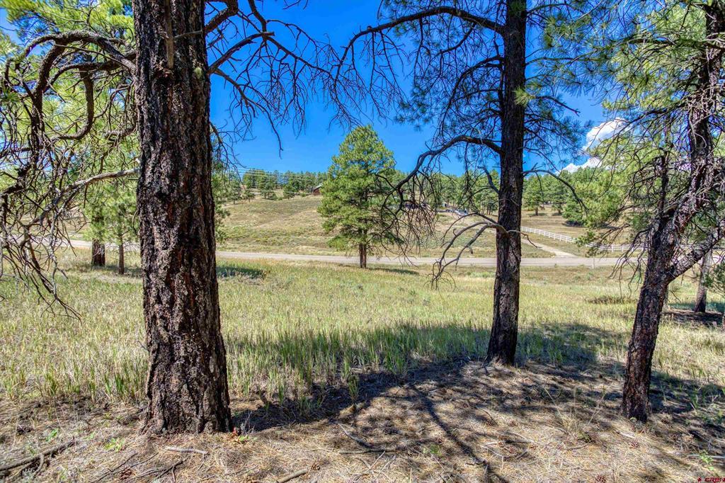 233 Stagecoach Lane Pagosa Springs CO 81147