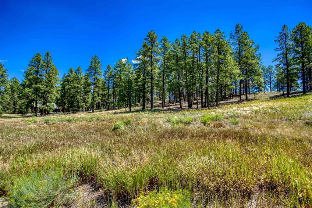 233 Stagecoach Lane Pagosa Springs CO 81147